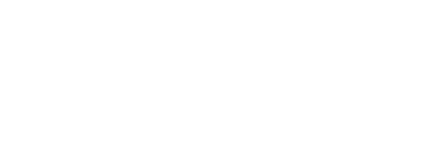 Texican Seasoning Logo